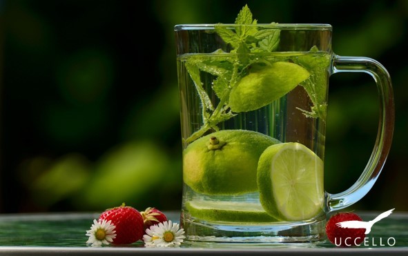 Glass of water infused with mint and lime