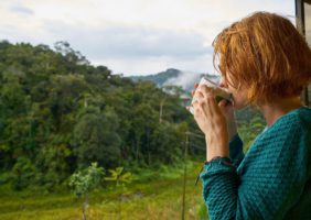 Woman drinking tea looking out of window