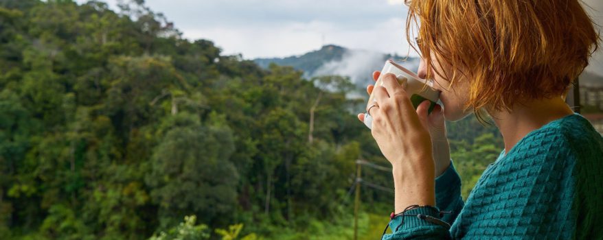 Woman drinking tea looking out of window